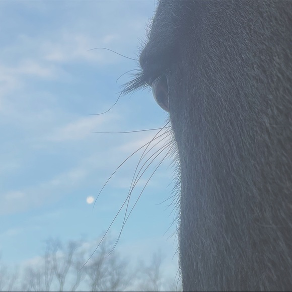 Meet your Posher, Jenny - Picture 8 of 17